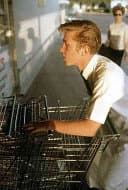 William Eggleston