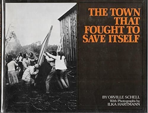 The Town that Fought to Save Itself