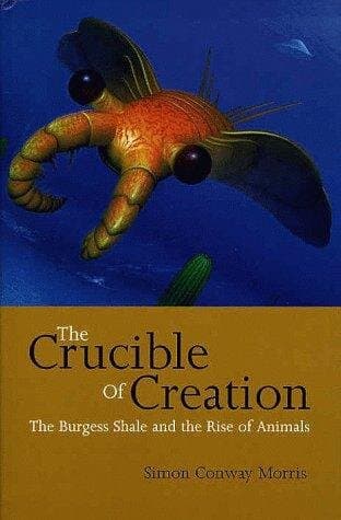 The Crucible of Creation