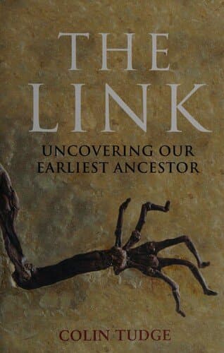 The Link