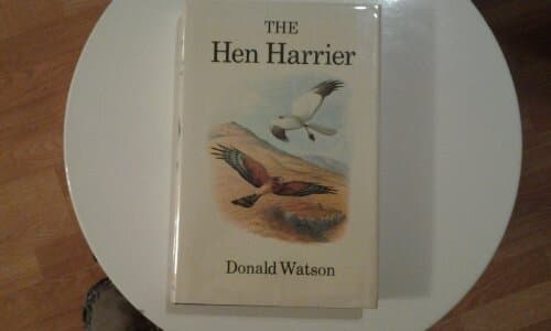 The Hen Harrier