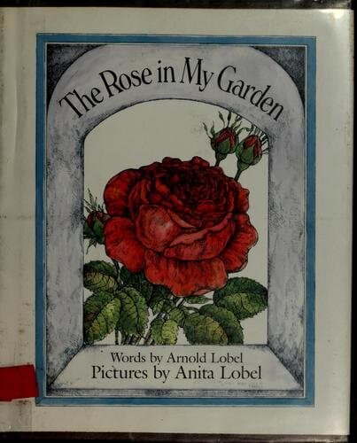 The Rose in My Garden