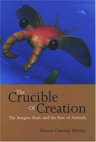 The Crucible of Creation