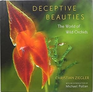 Deceptive Beauties