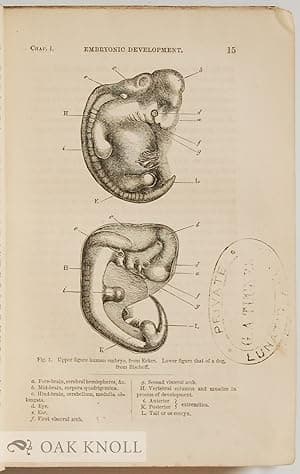 DESCENT OF MAN AND SELECTION IN RELATION TO SEX.|THE