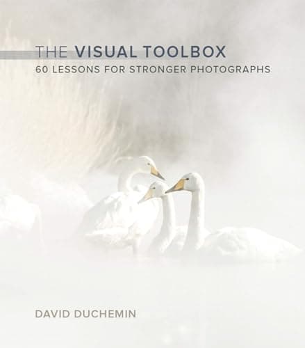 Visual Toolbox, The: 60 Lessons for Stronger Photographs (Voices That Matter)